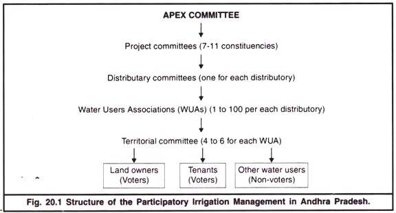 Structure of the Participatory Irrigation Management