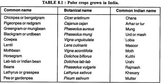 Pulse Crops Grown in India