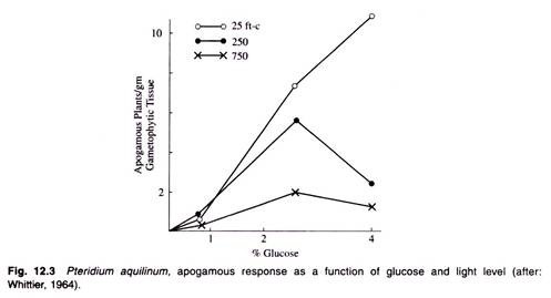 Apogamous as a Function of Glucose and Light Level