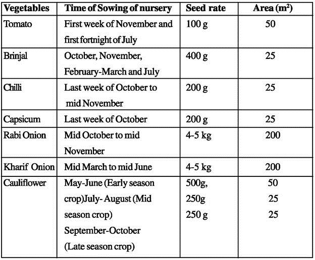 Caring of Nursery Plants