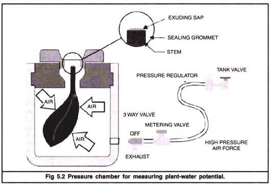 Pressure Chamber for Measuring Plant-Water Potential