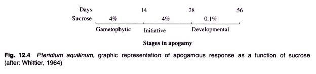 Apogamous Response as a Function of Sucrose