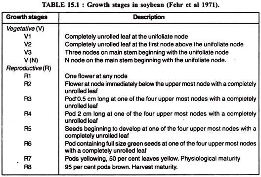 Growth Stages in Soybean