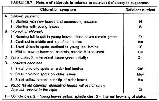 Nature of Chlorosis in relation to Nutrient Deficiency in Sugarcane