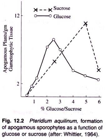 Formation of Apogamus Sporophytes as a Function of Glucose or Sucrose