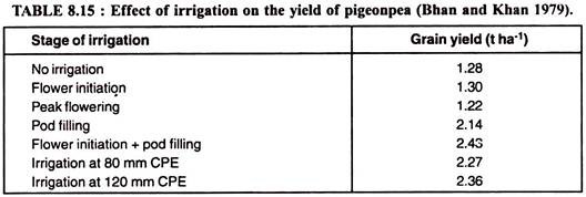 Effect of Irrigation on the Yield of Pigeonpea