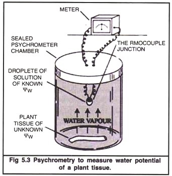 Psychrometry to Measure Water Potential of a Plant Tissue 