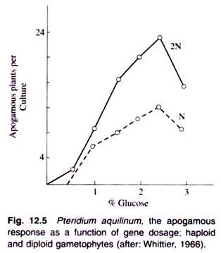 The Apogamous Response as a Function of Gene Dosage