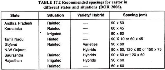 Spacings for Castor in Different States and Situations