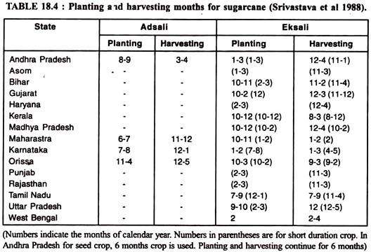 Planting and Harvesting Months for Sugarcane