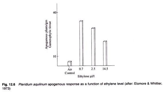 Apogamous Response as a Function of Ethylene Level