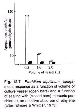 The Apogamous Response as a Function of Volume of Culture Vessel