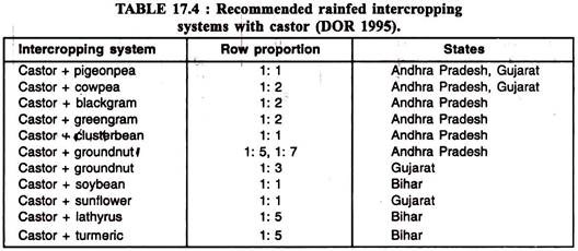 Rainfed Intercropping Systems with Castor