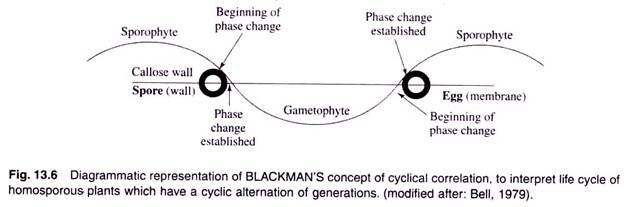 Blackman's Concept of Cyclical Correlation to Interpret Life Cycle of Homosporous Plants which have a Cyclic Alternation of Generations