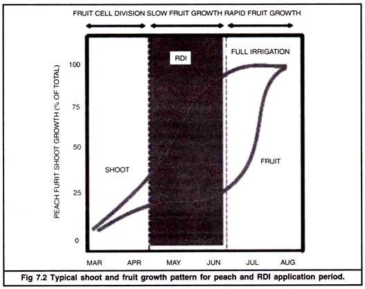 Typical Shoot and Fruit Growth Pattern for Peach and RDI Application Period