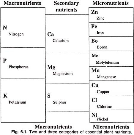 Two and Three Categories of Essential Plant Nutrients