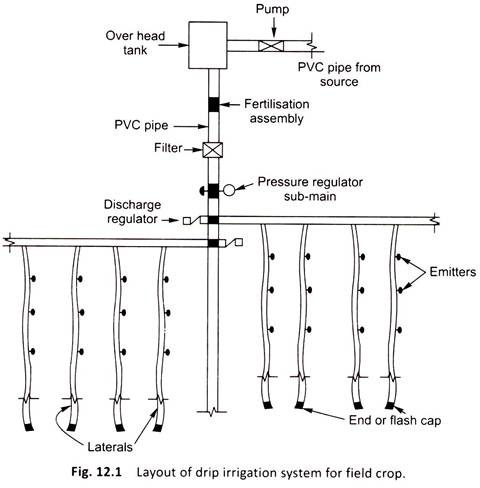 Layout of Drip Irrigation System of Field Crop