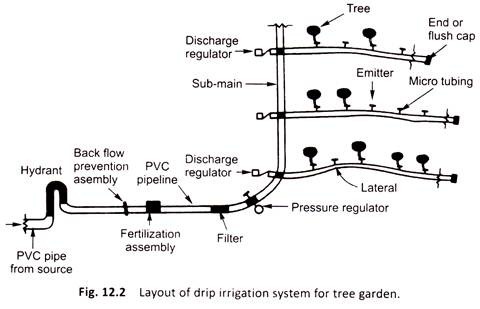 Layout of Drip Irrigation System for Tree Garden