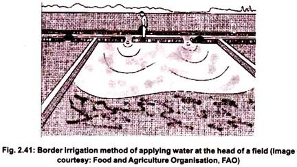 Border Irrigation Method