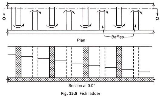 Fish Ladder