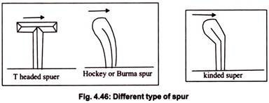 Different Type of Spur